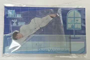 SnowMan 와타나베 쇼타 아크릴 스탠드