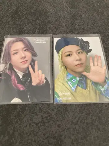 Mrs. GREEN APPLE 후지와라 료카 포토 카드 레어 2장 세트
