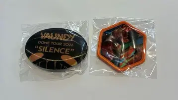 VAUNDY 캡슐 토이 캔뱃지와 와펜