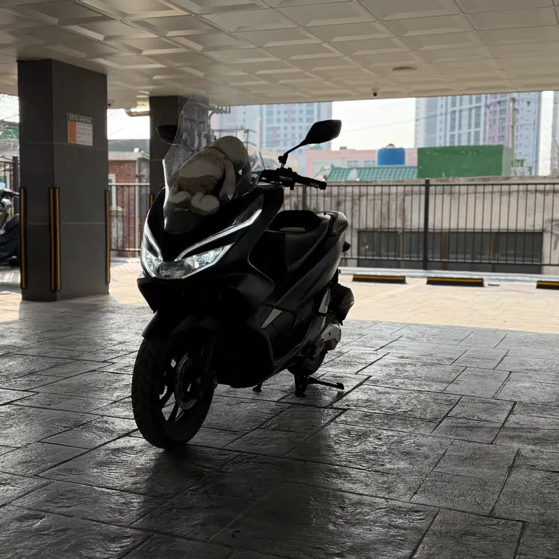 혼다 PCX125/2019년식/깔끔한컨디션/이쁜상태 판매합니다~