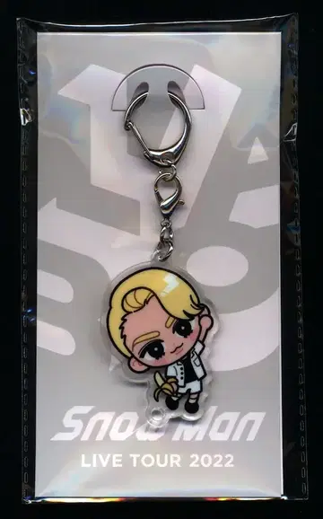 SnowMan 22년 Labo. 라울 아크릴 키링