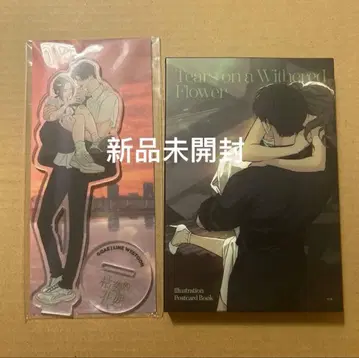 시든 꽃에 눈물을