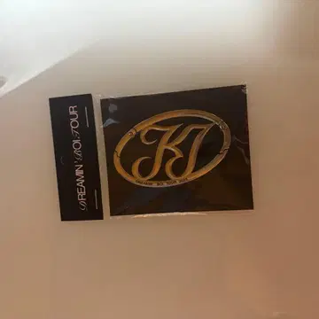 KJ LOGO CARABINER kohjiya 카라비너