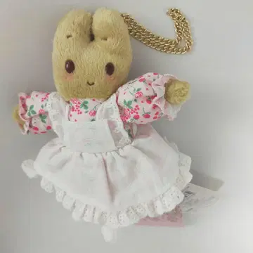 마이멜로디 40주년 마스코트 참 이치고