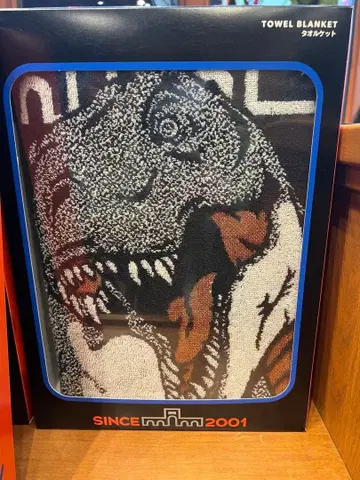 USJ 한정판 25주년 여름용 이불