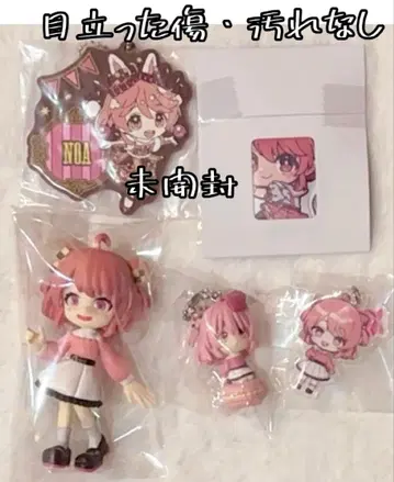 컬러풀피치 노아님