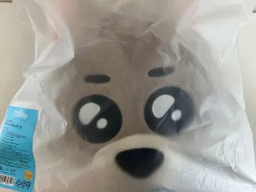 BOYNEXTDOOR 푸넥도 쿠션 명명 재희