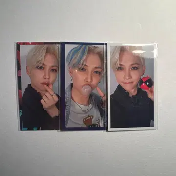 필릭스 circus 트레이딩 카드 3장 세트