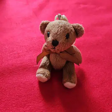 곰 스트랩 브라운 리본 포함