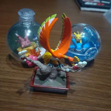 리멘트 봉황 포켓 분재 세트