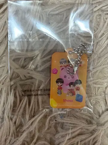 Riize 아크릴 키링