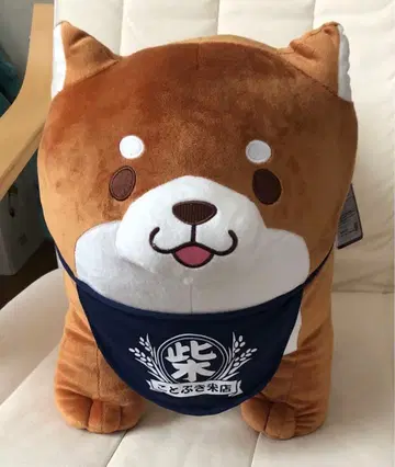 시바견 충견 모치시바 BIG 봉제 인형