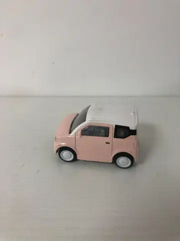 핑크와 화이트의 미니카