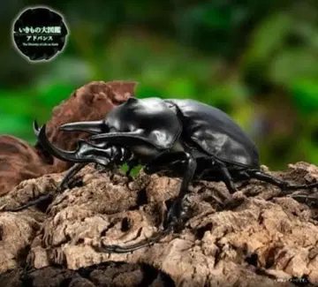 생물대도감 어드밴스 액티온 코뿔소