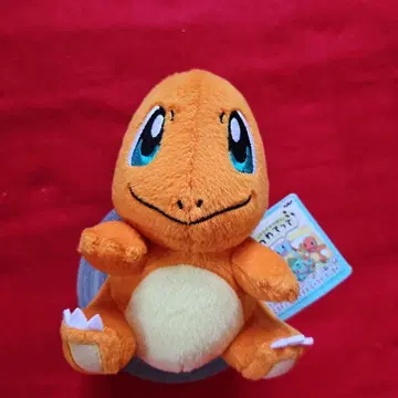 리자몽 봉제 인형 약 15cm 택 포함