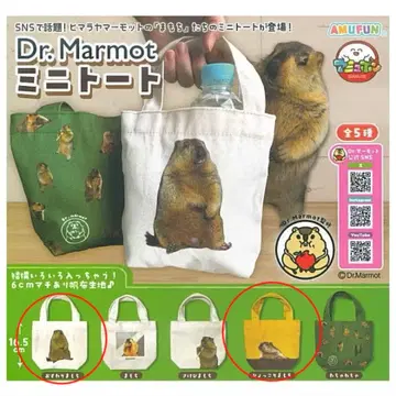 닥터 마모토 마모치 미니 토트 2세트