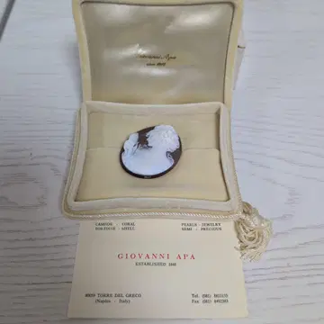 조반니 아파 GIOVANNI APA 카메오