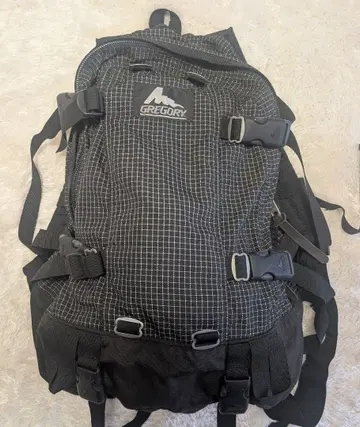 그레고리 데이앤하프 백팩 스펙트라 USA제 구 택 [ 가격 인하 ]