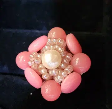 ANNA SUI 수지제 반지