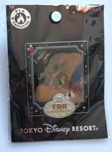 디즈니 리조트 / 핀 배지 / Artist Collection