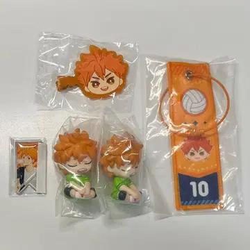 하이큐!! 히나타 쇼요 가챠가챠 세트