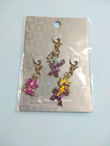 포켓몬 전국도감 메탈참 엘레즌 스트린더