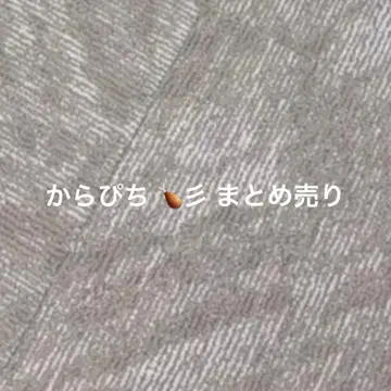 컬러풀 피치 카라피치 유안군 묶음 판매