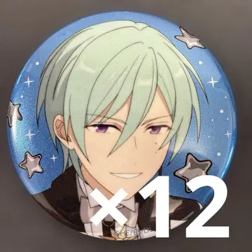 카제하야 타츠미 앙스타 스타라이 10th C 캔뱃지 12개