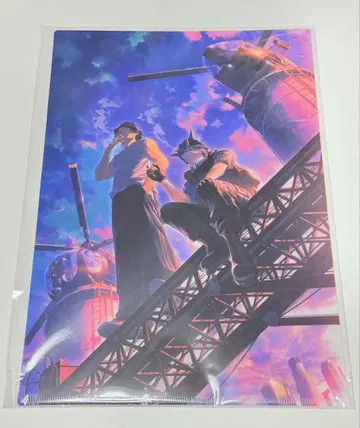 레더 요지로 아오이 라다오 클리어 파일 스트그라