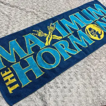 맥시멈 더 홀몬 빅 사이즈 좋은 원단의 타월 블루