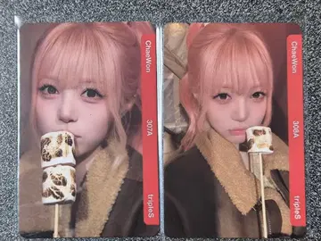 QR 기사용 tripleS 롯데 채원 bb307 bb308