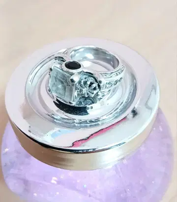 저스틴 데이비스 반지