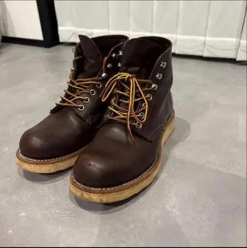 레드윙 8134 아이리쉬 세터 23.5cm