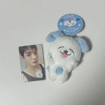 NCT DREAM 마그넷 인형 키링 봉제 인형 제노