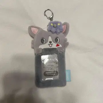 조춤 츄라라 트레이딩 카드 케이스