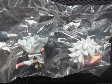 히로아카 피규어 다비