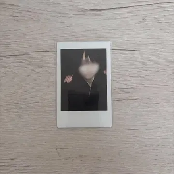 러브시크 태양 폴라로이드