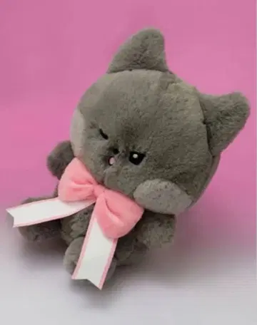 zb1 제베원 지운 김지운 제로니 Ribbon Plush 운니니