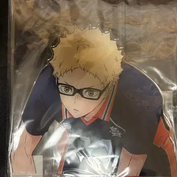 베이스 야드 도쿄 메가 아크릴 스탠드 츠키시마 케이