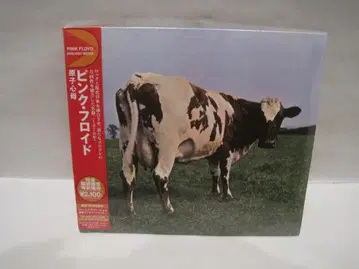 핑크 플로이드 [원자심모]