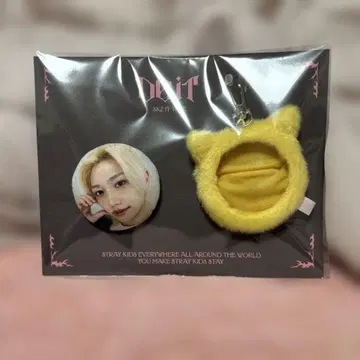 공식 STRAYKIDS DO IT POPUP 배지 필릭스