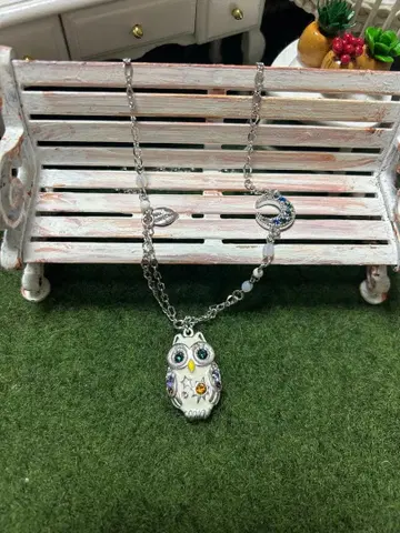 Anna Sui 올빼미 목걸이 2개 세트