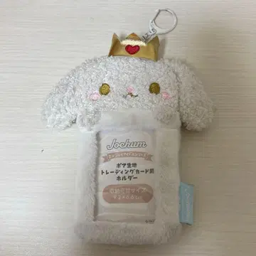 JOCHUM RURU 시로이와 루키 트레이딩 카드 케이스