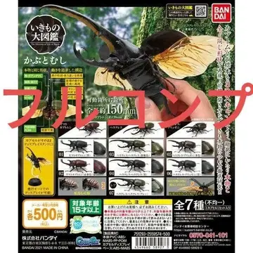 생물 대도감 장수풍뎅이 01 풀컴프