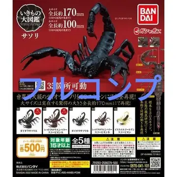 생물대도감 전갈 풀컴프