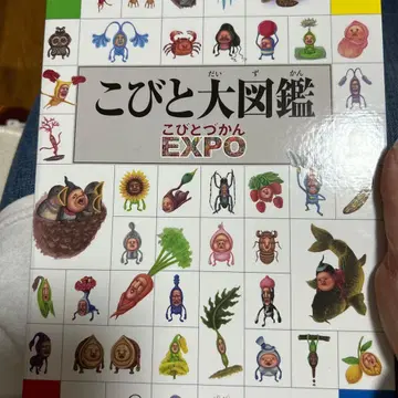 꼬마대도감 꼬마도감엑스포 카드 파일