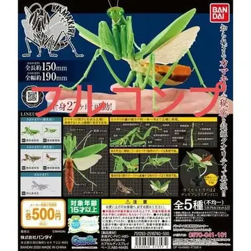 생물대도감 사마귀 01 풀컴프