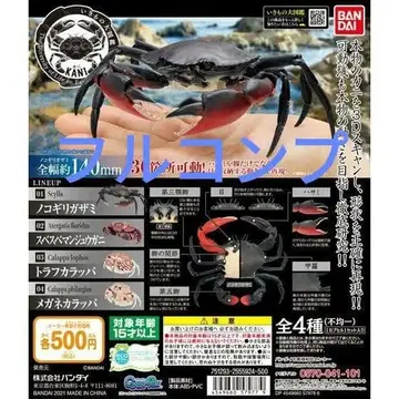 생물대도감 게01 풀컴프