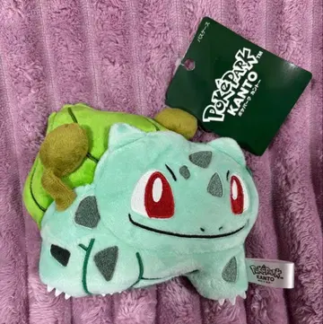 포케파크 관동 패스 케이스 이상해씨