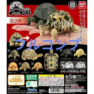 생물대도감 거북 02 풀컴프